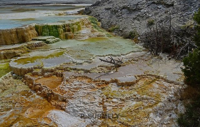 Yellowstone
Mots-clés: Amérique;Amérique du Nord;Etats-Unis;USA;Wyoming;Yellowstone National Park;Yellowstone;parc national