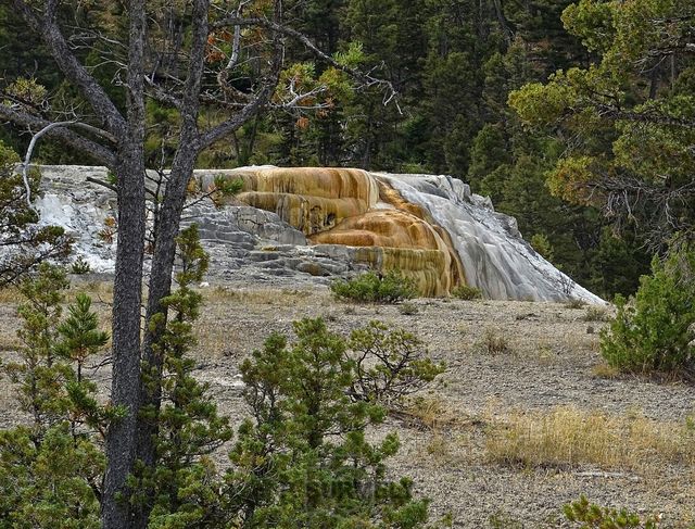 Yellowstone
Mots-clés: Amérique;Amérique du Nord;Etats-Unis;USA;Wyoming;Yellowstone National Park;Yellowstone;parc national