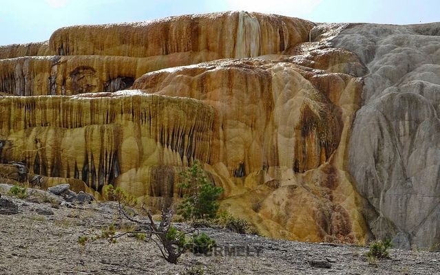 Yellowstone
Mots-clés: Amérique;Amérique du Nord;Etats-Unis;USA;Wyoming;Yellowstone National Park;Yellowstone;parc national