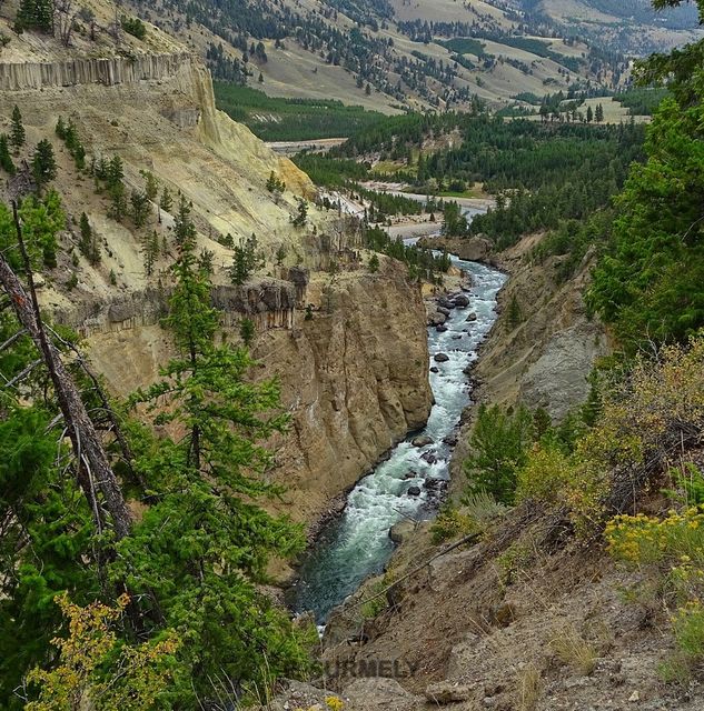 Yellowstone
Mots-clés: Amérique;Amérique du Nord;Etats-Unis;USA;Wyoming;Yellowstone National Park;Yellowstone;parc national