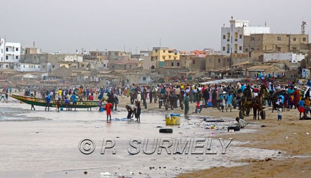 March aux poissons de Dakar Yoff
Mots-clés: Afrique;Sngal;Dakar;Yoff;march