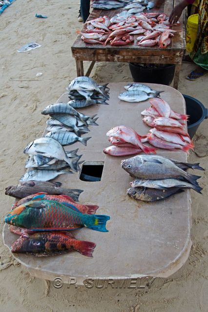 March aux poissons de Dakar Yoff
Mots-clés: Afrique;Sngal;Dakar;Yoff;march;poisson