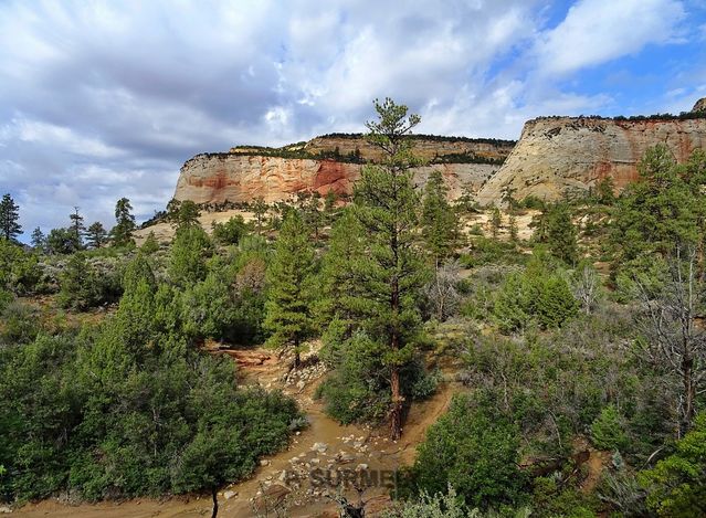 Zion
Mots-clés: Amérique;Amérique du Nord;Etats-Unis;USA;Utah;Zion National Park;Zion;p