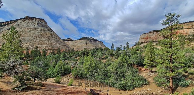 Zion
Mots-clés: Amérique;Amérique du Nord;Etats-Unis;USA;Utah;Zion National Park;Zion;p