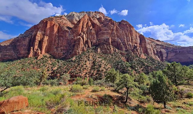 Zion
Mots-clés: Amérique;Amérique du Nord;Etats-Unis;USA;Utah;Zion National Park;Zion;p