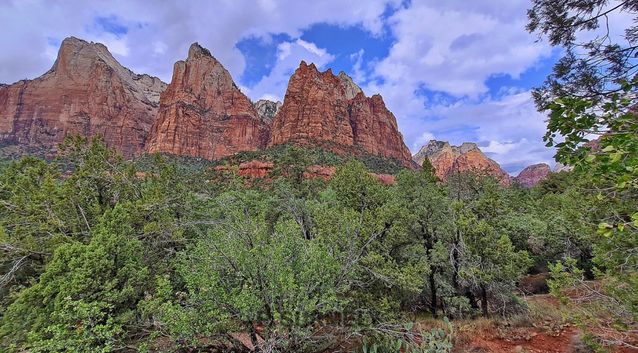 Zion
Mots-clés: Amérique;Amérique du Nord;Etats-Unis;USA;Utah;Zion National Park;Zion;p