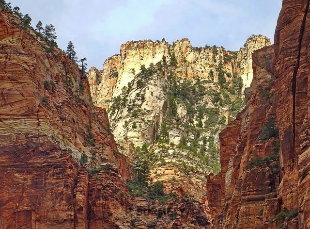 Zion
Mots-clés: Amérique;Amérique du Nord;Etats-Unis;USA;Utah;Zion National Park;Zion;p