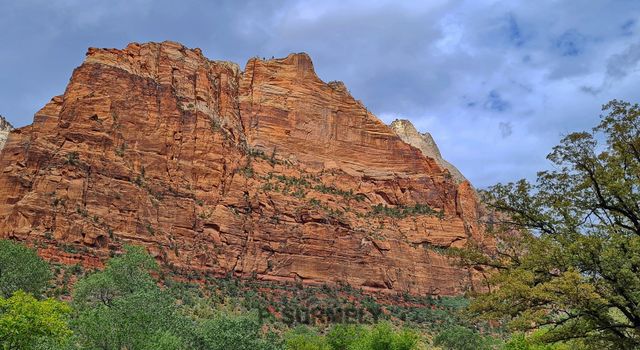 Zion
Mots-clés: Amérique;Amérique du Nord;Etats-Unis;USA;Utah;Zion National Park;Zion;p