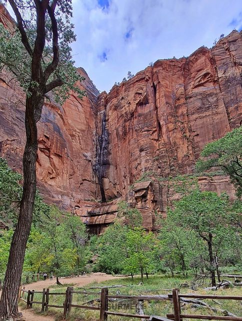 Zion
Mots-clés: Amérique;Amérique du Nord;Etats-Unis;USA;Utah;Zion National Park;Zion;p