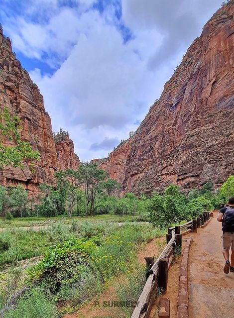 Zion
Mots-clés: Amérique;Amérique du Nord;Etats-Unis;USA;Utah;Zion National Park;Zion;p