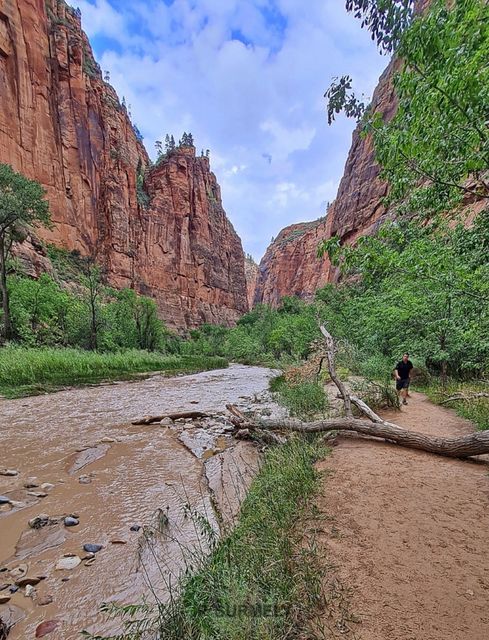 Zion
Mots-clés: Amérique;Amérique du Nord;Etats-Unis;USA;Utah;Zion National Park;Zion;p