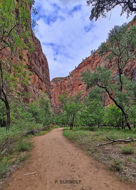 Zion
Mots-clés: Amérique;Amérique du Nord;Etats-Unis;USA;Utah;Zion National Park;Zion;p