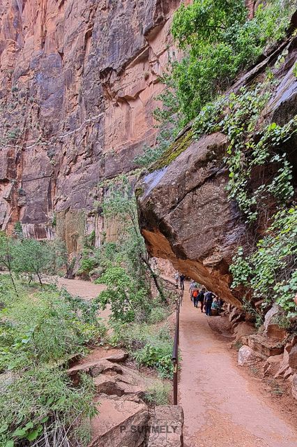 Zion
Mots-clés: Amérique;Amérique du Nord;Etats-Unis;USA;Utah;Zion National Park;Zion;p