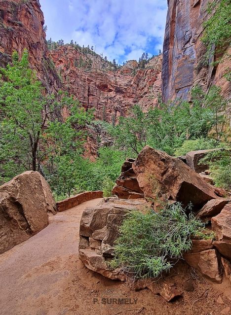 Zion
Mots-clés: Amérique;Amérique du Nord;Etats-Unis;USA;Utah;Zion National Park;Zion;p