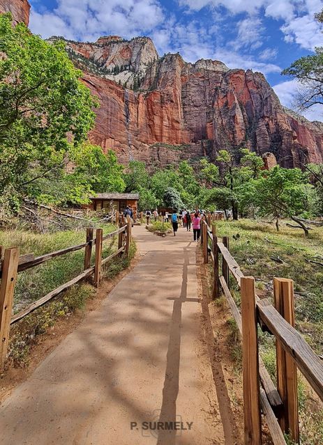 Zion
Mots-clés: Amérique;Amérique du Nord;Etats-Unis;USA;Utah;Zion National Park;Zion;p