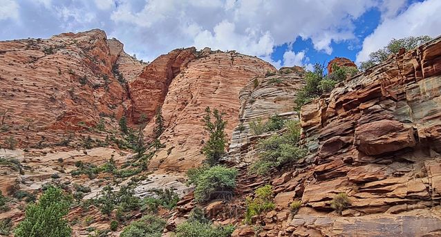 Zion
Mots-clés: Amérique;Amérique du Nord;Etats-Unis;USA;Utah;Zion National Park;Zion;p