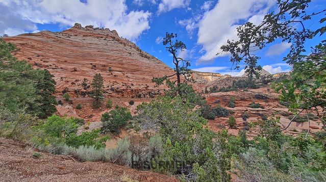 Zion
Mots-clés: Amérique;Amérique du Nord;Etats-Unis;USA;Utah;Zion National Park;Zion;p