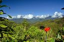 Banaue-0070wtmk.jpg