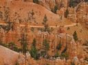 Bryce_Canyon-0192.jpg