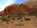 Canyonland-0008.jpg