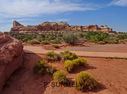 Canyonland-0048.jpg