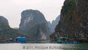 Halong-9136.jpg