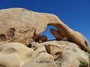 Joshua_Tree-0093.jpg