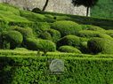 Marqueyssac-7224.jpg