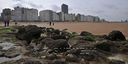 Oostende-4878.jpg