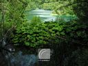 Plitvice-013.jpg