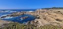 Point_Lobos-0013.jpg