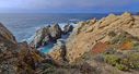 Point_Lobos-0034.jpg
