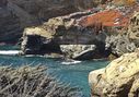 Point_Lobos-0051.jpg