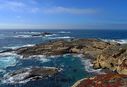 Point_Lobos-0067.jpg