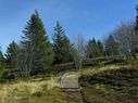 Vosges-3666.jpg