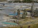 Yellowstone-0248.jpg