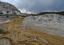 Yellowstone-0271.jpg