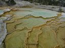 Yellowstone-0294.jpg