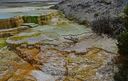 Yellowstone-0321.jpg