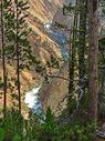 Yellowstone-0450.jpg