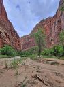 Zion-0046.jpg