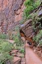 Zion-0064.jpg